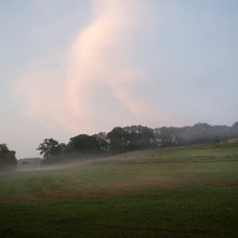 the view