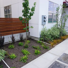Front Fence