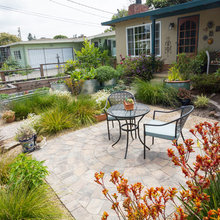 Everett Plants