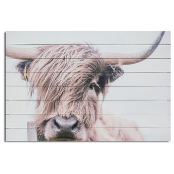 Highland Cow Print On Wood