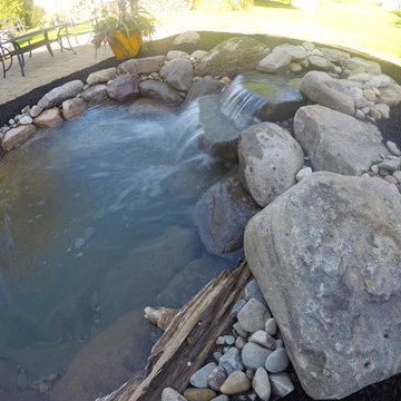 Small Backyard Pond