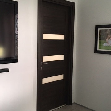 Modern Swing Door with Laminate Insert in Wenge Finish
