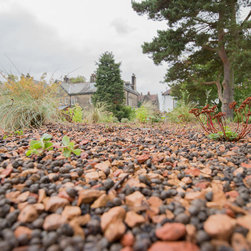 Green Roofs - Garden Products