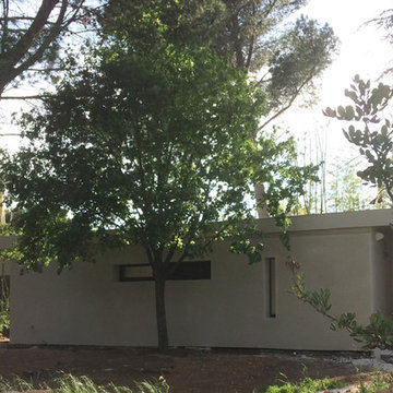 la maison sous les arbres