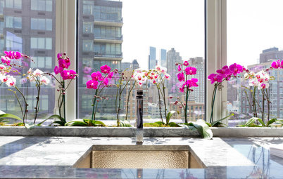 How to Grow Orchids Indoors