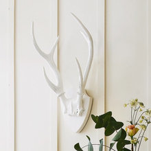 luckie_ecke's Ideas
