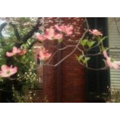 Romina Skoff's photo