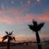 Nahla Sawaia's photo