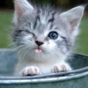 Foto de Kitty Clinton