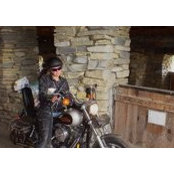 Marjy Chamberlin's photo