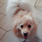 Marilyn Buttny's photo