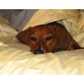 Darla Seible's photo