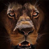 Diane Horton's photo