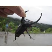 Erica Dholoo's photo