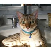 Laurel Fox's photo