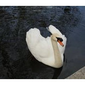 Diane Millett's photo