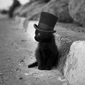 Ari Hess's photo