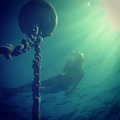 Foto von Shannon Maureen