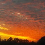 Wendy Range McNeely's photo