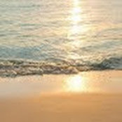 Diana Erickson's photo
