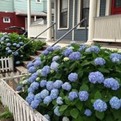 Adrienne Lavidor-berman's photo