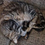 Kitty Brougham's photo