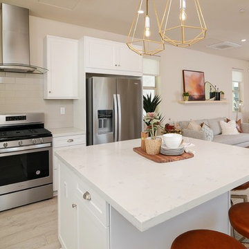 Modern Boho Desert