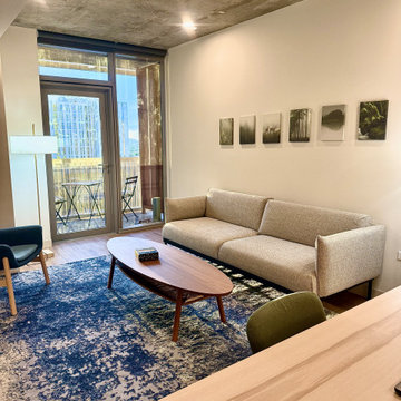 A Design Blitz Miracle — Sol Modern, Phoenix, Arizona.