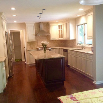 Drescher kitchen remodel