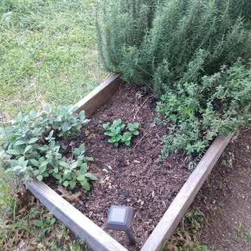 Food Garden
