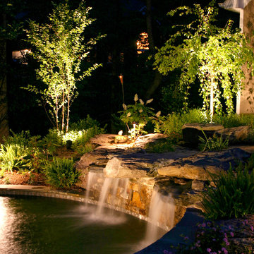 Landscape Lighting with Tree lighting and Water Lighting