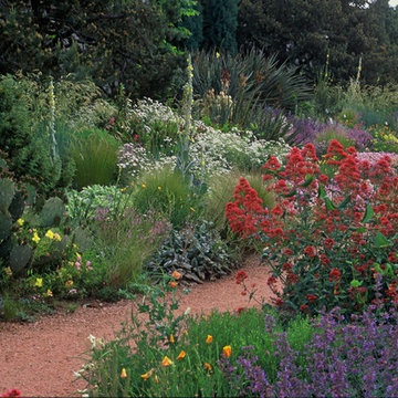 Denver Botanic Gardens WaterSmart Garden