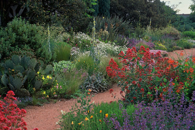 Photo of a large drought-tolerant and full sun gravel landscaping in Denver.