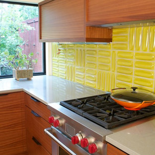 Abacus Midcentury Modern Kitchen