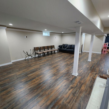 Basement Finish with Full bathroom addition and Office