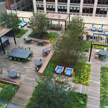 Chicago Shared Roof Deck