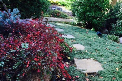 This is an example of a shabby-chic style landscaping in Denver.