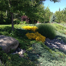 Ground Cover