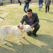 Amit Sharma's photo