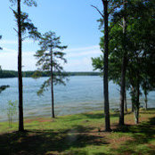 Chris Vickers's photo