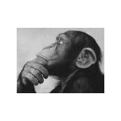 Jo Killingley's photo