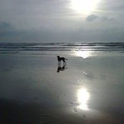 Foto de Ros Etheridge