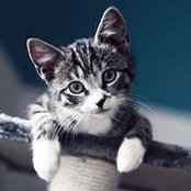 Foto von Emma Johnson