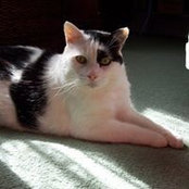 Mara Alexander's photo