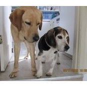 Junya Konishi's photo