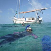 Ingrid Shea's photo