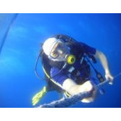 Moshe Kigler's photo