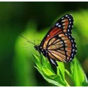 Bernadette Wixson's photo