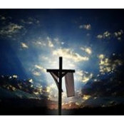 Darla Rogness's photo