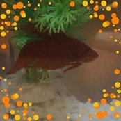 Maritza Diaz's photo